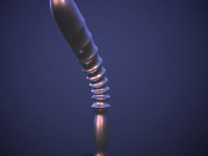 Penis AC12-10 STL OBJ 3D Print Model