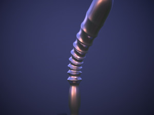 Penis AC12-10 STL OBJ 3D Baskı Modeli