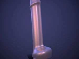 Penis AC12-11 STL OBJ 3D Print Model