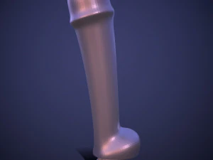 Penis AC12-12 STL OBJ 3D Print Model
