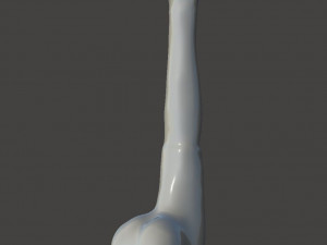 Adult Toy AC16-11 STL OBJ 3D 模型