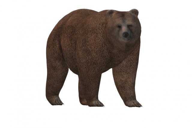 Fat Brown Bear Ready to Print 3D प्रिंट मॉडल .c4d .max .obj .3ds .fbx .stl .blend 