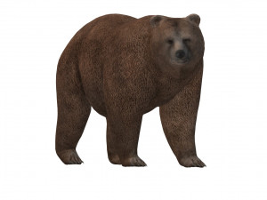 Fat Brown Bear Ready to Print 3D-Druckmodell