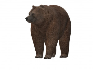 Fat Brown Bear Ready to Print 3D प्रिंट मॉडल