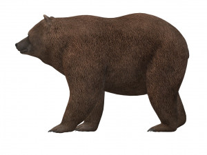 Fat Brown Bear Ready to Print 3D प्रिंट मॉडल