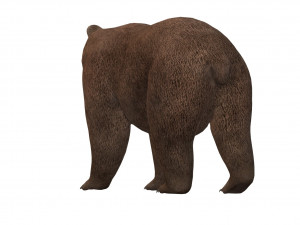 Fat Brown Bear Ready to Print 3D प्रिंट मॉडल