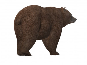 Fat Brown Bear Ready to Print 3D प्रिंट मॉडल