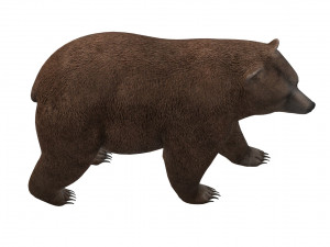 Fat Brown Bear Ready to Print 3D प्रिंट मॉडल