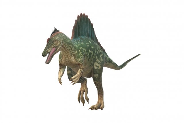 Spinosaurus Dinosaur Ready to Print 3D 打印模型 .c4d .max .obj .3ds .fbx .stl .blend 