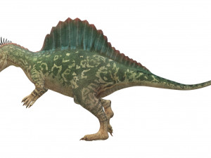 Spinosaurus Dinosaur Ready to Print 3D 打印模型