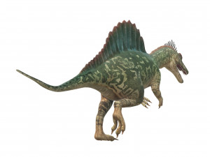Spinosaurus Dinosaur Ready to Print 3D 打印模型