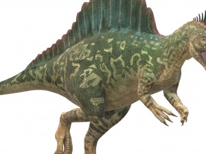 Spinosaurus Dinosaur Ready to Print 3D 打印模型