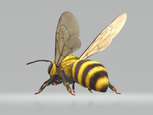 Hornet Bee Ready to Print 3D-Druckmodell