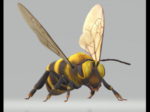 Hornet Bee Ready to Print 3D-Druckmodell