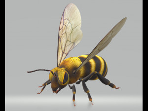 Hornet Bee Ready to Print 3D-Druckmodell