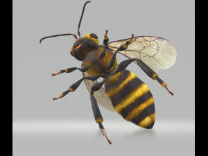 Hornet Bee Ready to Print 3D-Druckmodell
