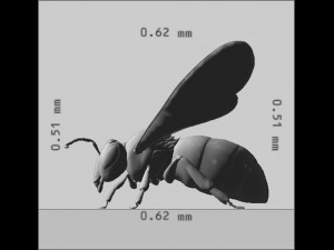Hornet Bee Ready to Print 3D-Druckmodell