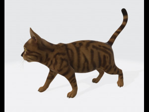 Cat Ready to Print 3D Druckmodell