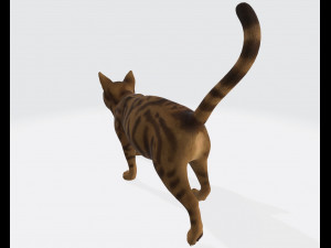 Cat Ready to Print 3D Druckmodell