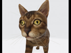 Cat Ready to Print 3D Druckmodell