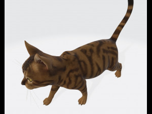 Cat Ready to Print 3D Druckmodell
