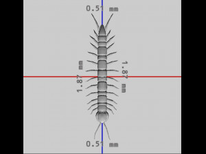 Centipede Ready to Print Modello di stampa 3D