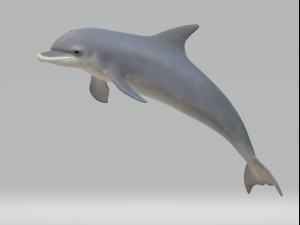 Dolphin Sculptures Ready to Print 3D Print Model