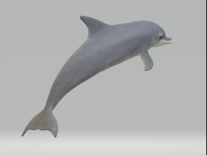 Dolphin Sculptures Ready to Print 3Dプリントモデル