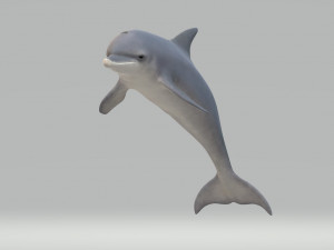 Dolphin Sculptures Ready to Print 3Dプリントモデル