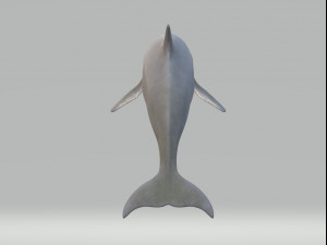 Dolphin Sculptures Ready to Print 3Dプリントモデル
