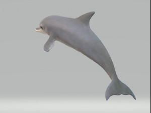 Dolphin Sculptures Ready to Print 3Dプリントモデル