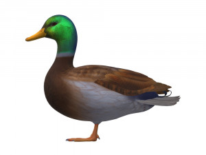 Duck Animal Ready to Print Model do druku 3D