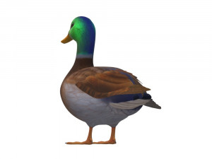 Duck Animal Ready to Print Model do druku 3D