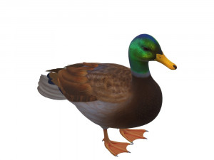 Duck Animal Ready to Print Model do druku 3D