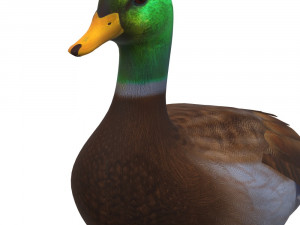 Duck Animal Ready to Print Model do druku 3D