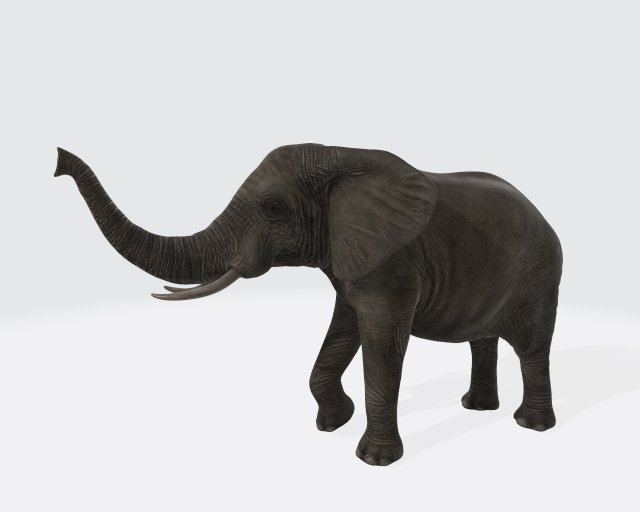 Elephant Animal Ready to Print 3D Принт Модель .c4d .max .obj .3ds .fbx .stl .blend 