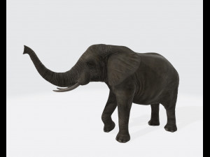 Elephant Animal Ready to Print 3D Print Model