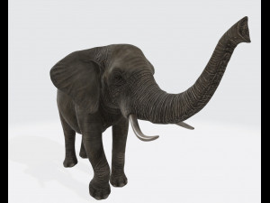 Elephant Animal Ready to Print 3D Принт Модель