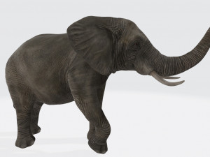 Elephant Animal Ready to Print 3D Принт Модель