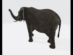 Elephant Animal Ready to Print 3D Принт Модель