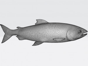 Salmon Fish Animal Ready to Print Model do druku 3D