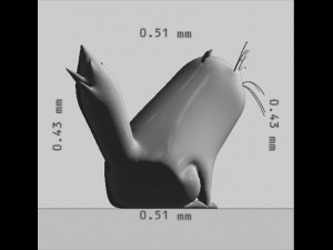 Himalayan Persian Cat Ready to Print 3D Print Model