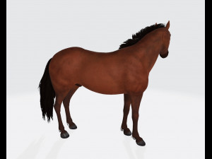 Brown Horse Ready to Print 3D Print Model