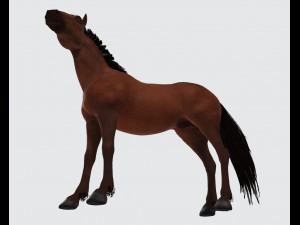 Brown Horse Ready to Print 3D Print Model