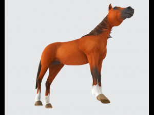 Brown Horse Animal Ready to Print Modèles 3D en vedette