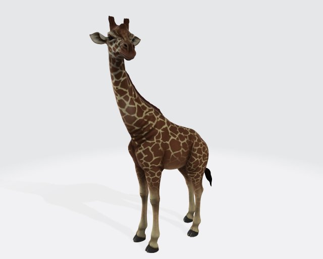 Giraffe Animal Ready to Print 3D Print Model .c4d .max .obj .3ds .fbx .stl .blend 
