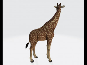 Giraffe Animal Ready to Print 3D Print Model
