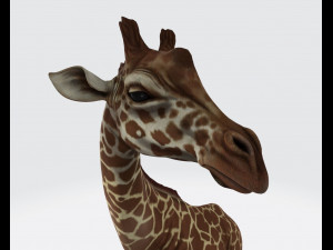 Giraffe Animal Ready to Print 3D Print Model