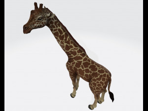 Giraffe Animal Ready to Print 3D Print Model