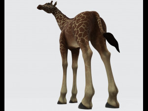 Giraffe Animal Ready to Print 3D Print Model